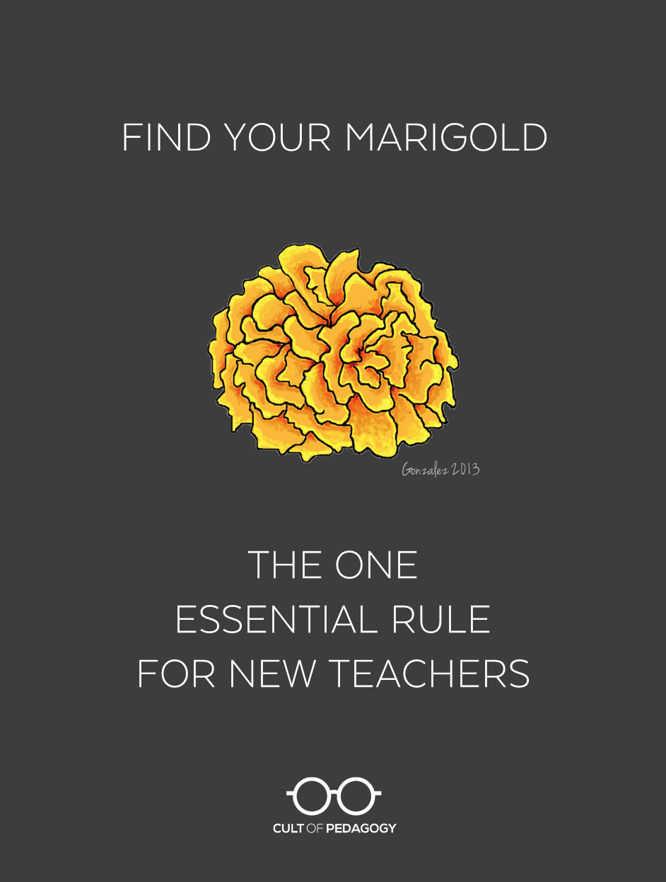 Find Your Marigold: The One Essential Rule for New Teachers